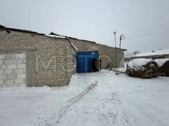 Телятник в Брянской обл., 1450 кв.м.