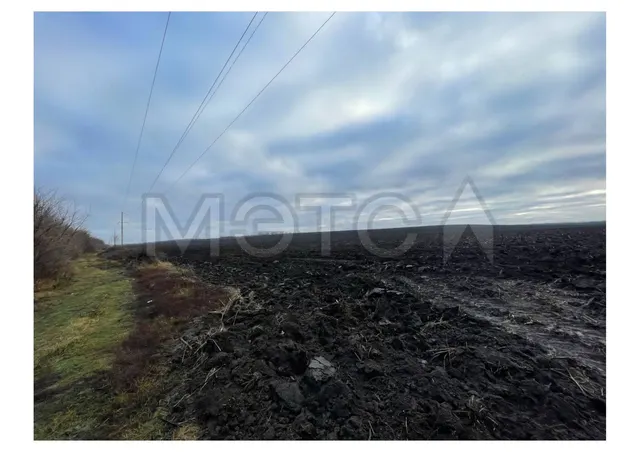 1/1120 доля земельного участка в Воронежской обл.