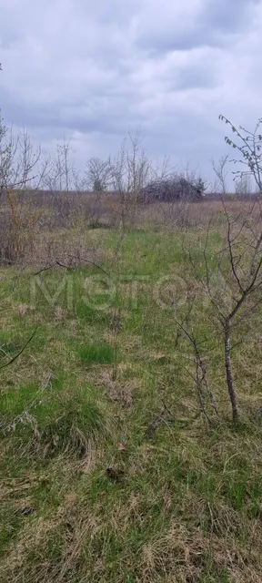 Земельный участок в Белгородской обл., 500 кв.м.
