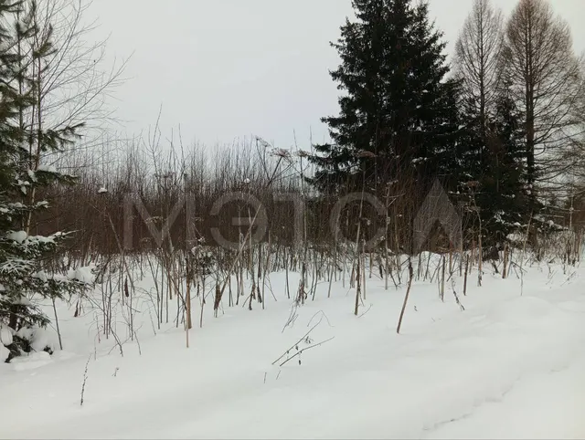 Земельный участок в Пермском крае, 1715+/-14 кв.м.
