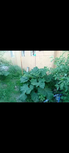 Дом 60 кв.м. и земельный участок 399 кв.м. в Кургане