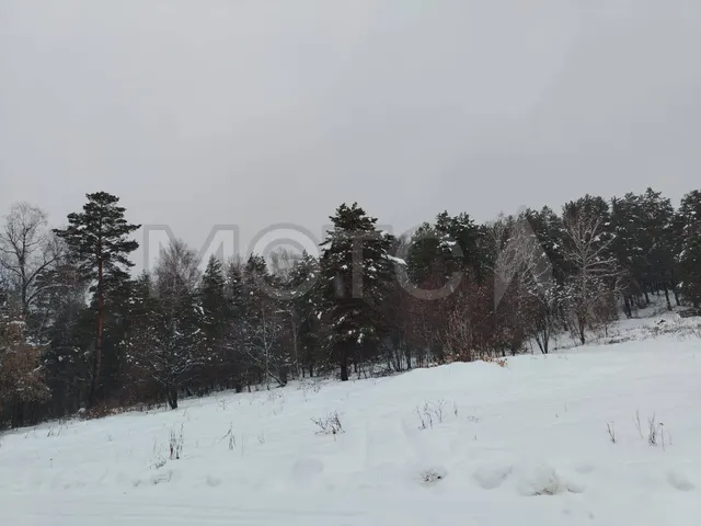 Земельный участок в Новосибирской обл., 750 кв.м.