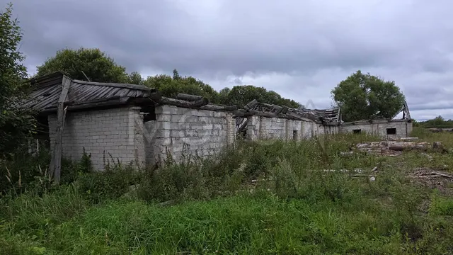 Коровник в Тверской обл., 1056 кв.м