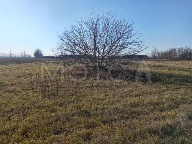Земельный участок в Краснодарском крае, 1700 кв.м.
