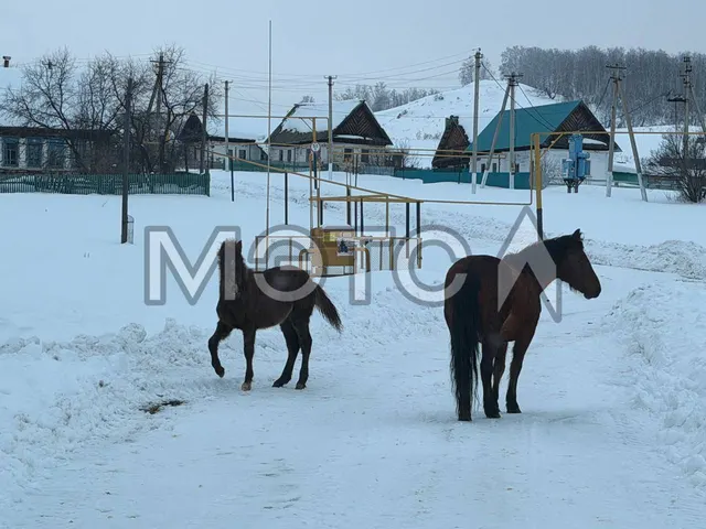 Земельный участок в Башкортостане, 1104 кв.м.