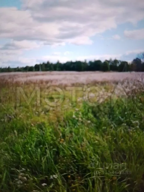 Земельный участок в Тверской области, 10010 +/- 875 кв.м