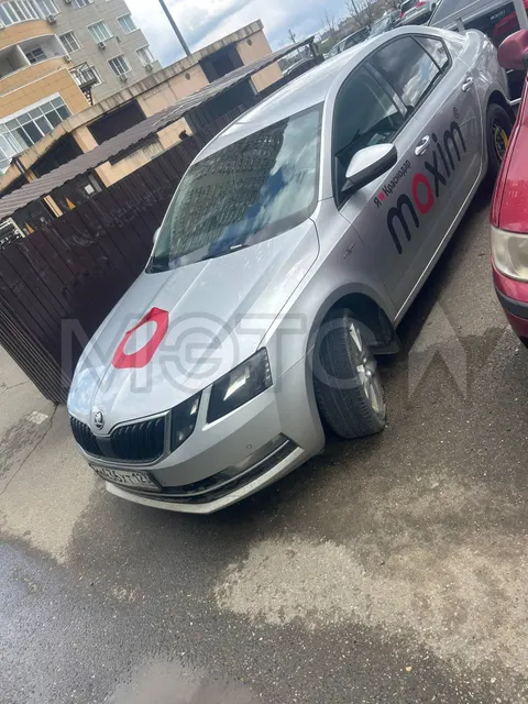 Skoda Octavia, 2019 года, 150 лс, 300000 км, АКПП