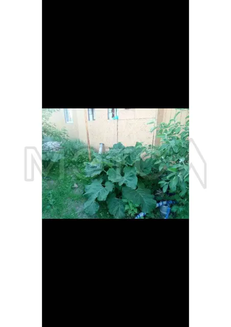 Дом 60 кв.м. и земельный участок 399 кв.м. в Кургане