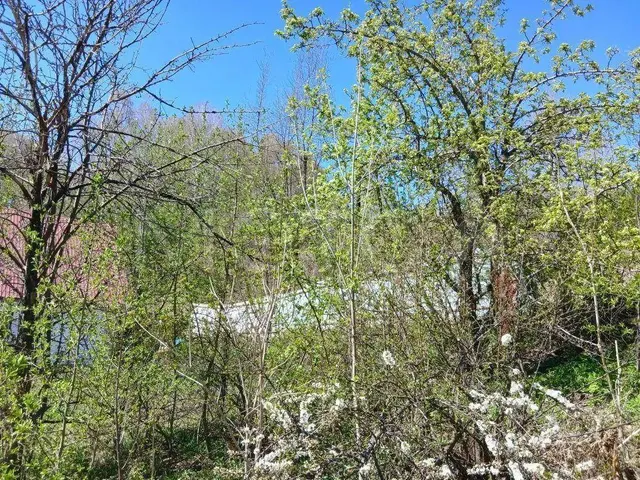 Земельный участок в Горно-Алтайске, 992+/-11 кв.м.