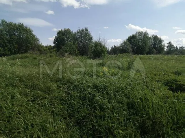Земельный участок в Ярославской области, 705 кв.м.