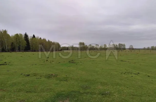 Земельный участок в Бурятии, 1500+/-14 кв.м.