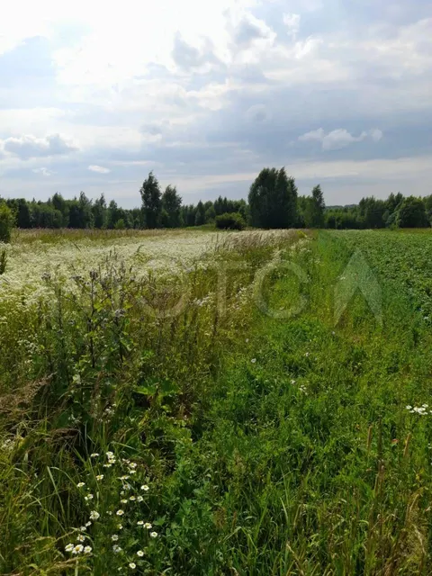 Земельный участок в Костромской обл., 780,1 кв.м.