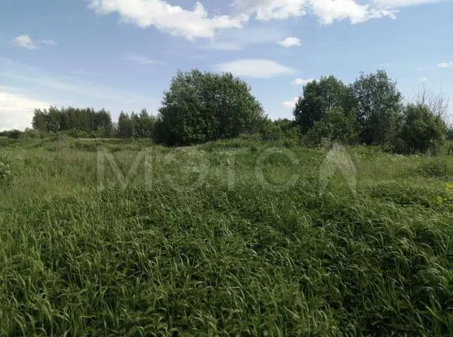 Земельный участок в Ярославской области, 705 кв.м.