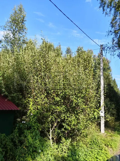 Земельный участок в Тверской обл., 600 кв.м,