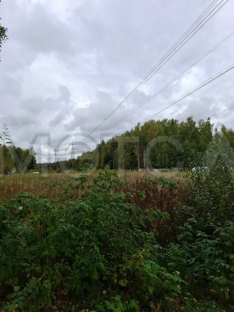1/2 доля земельного участка в Ленинградской обл.