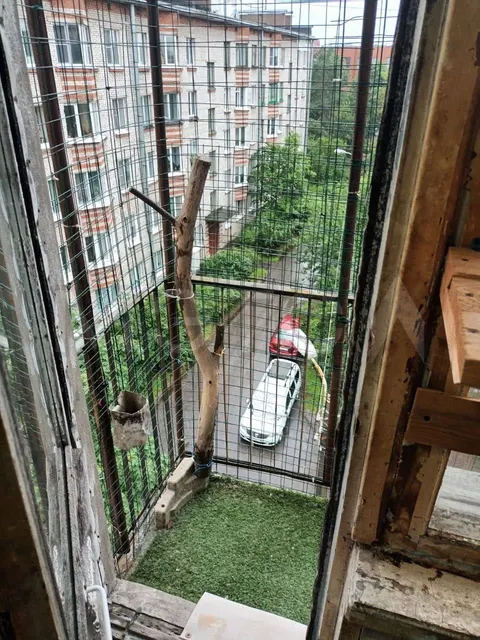 Квартира в Санкт-Петербурге, 31,3 кв.м, 1 комн.