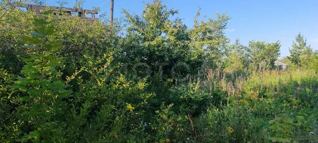 Земельный участок в Ульяновской обл., 600 кв.м.