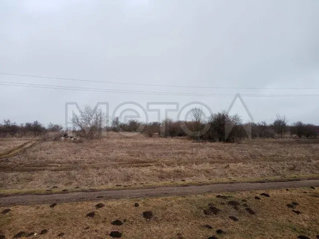 Земельный участок в Краснодарском крае, 800+/-10 кв.м.