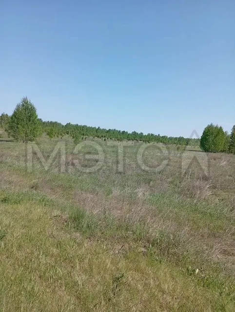 Земельный участок в Курганской обл., 260000 кв.м.