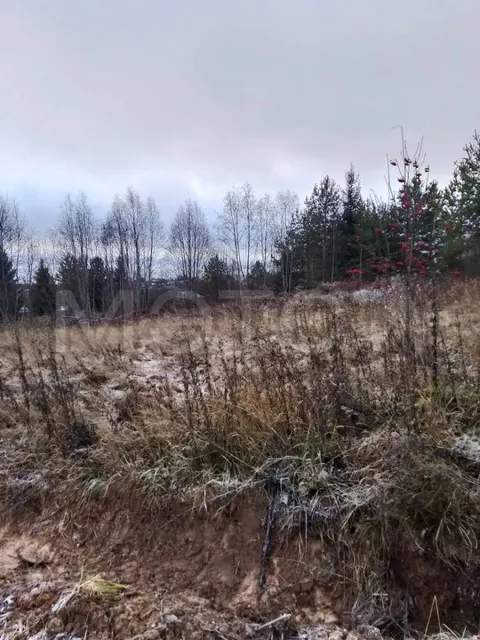 Земельный участок в Вологодской обл., 1506 кв.м.