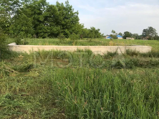 Право аренды земельного участка в Краснодарском крае, 1058 кв.м.