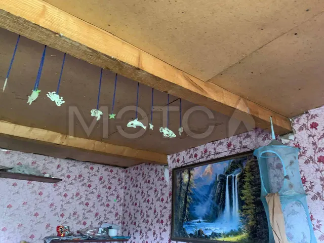 Дом 36 кв.м. и земельный участок 4046 кв.м. в Орловской обл.