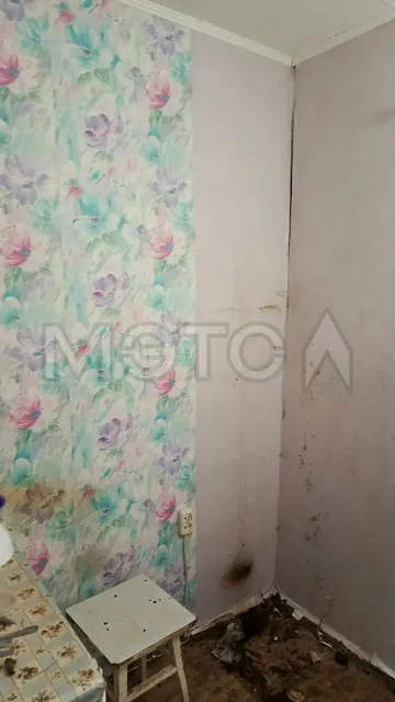 Квартира в Пскове, 18,3 кв.м, 1 комн.