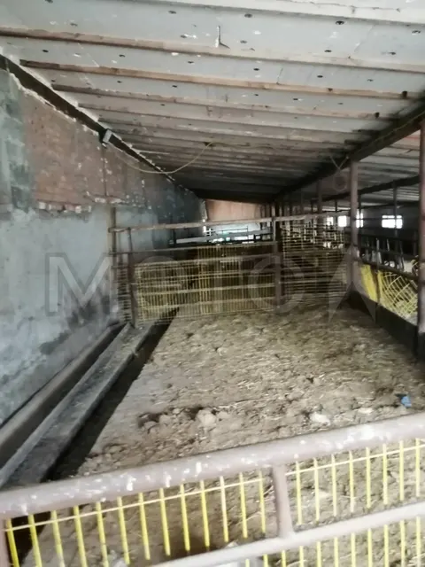 Здание 674,5 кв.м. и земельный участок 79136+/-2461 кв.м. в ХМАО-Югра