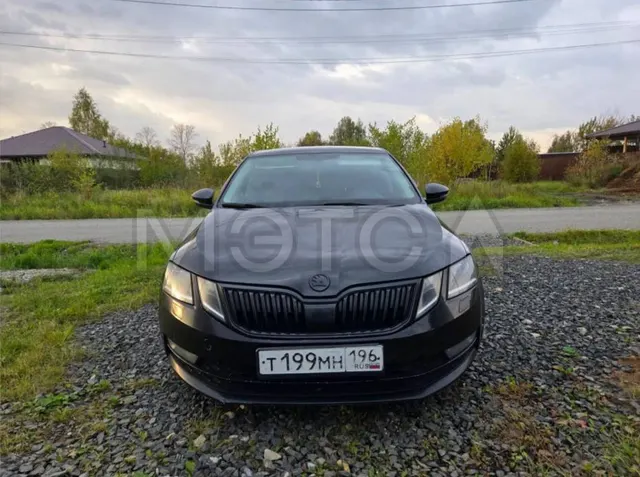 Skoda Octavia, 2019 года, 150 лс, 340000 км, АКПП
