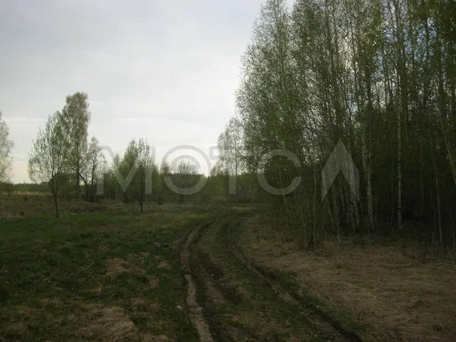 Земельный участок в Нижегородской обл., 1329 кв.м.