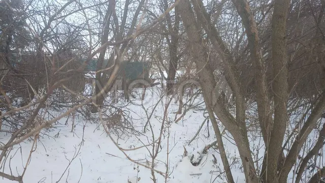 1/5 доля дома и 1/5 доля земельного участка в Волгоградской обл.