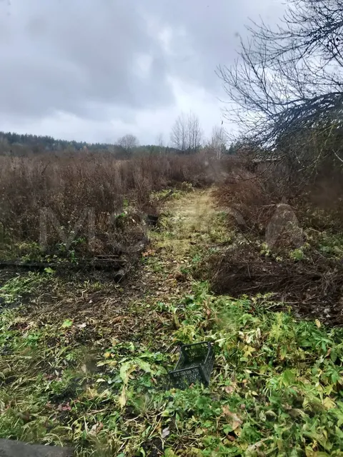 1/2 доля дома и 1/2 доля земельного участка в Пензенской обл.