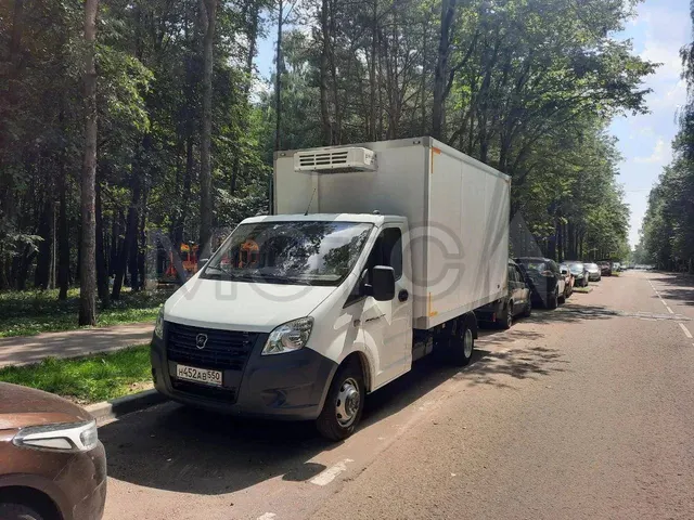 ГАЗ 3009Z6, 2024 года