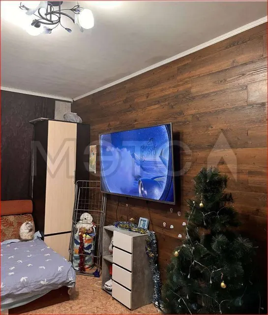 Дом 56,8 кв.м. и земельный участок 913 кв.м. в Алтайском крае