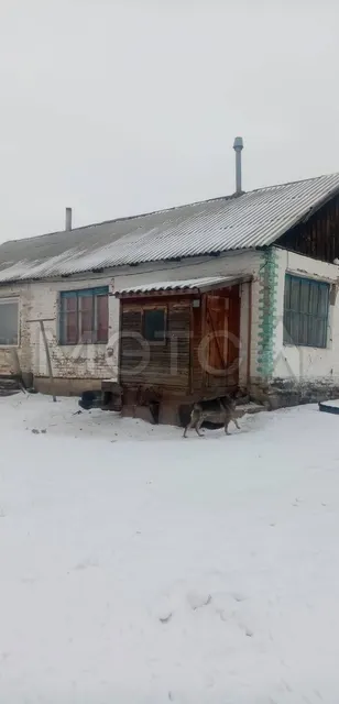 Дом 37,2 кв.м. и земельный участок 1429 кв.м. в Алтайском крае