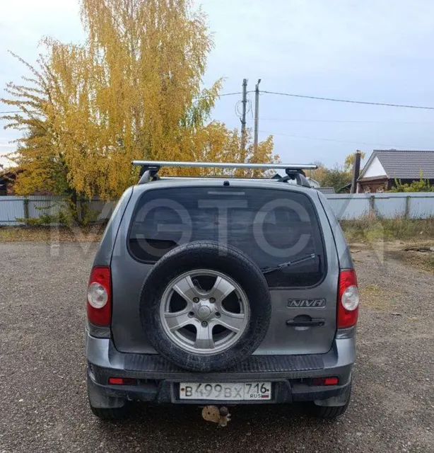 Chevrolet Niva, 2010 года, 80 лс, 185189 км, полный привод