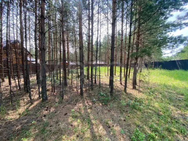 Земельный участок в Красноярском крае, 984 кв.м.
