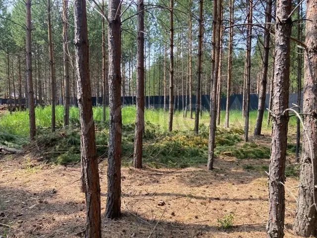 Земельный участок в Красноярском крае, 984 кв.м.