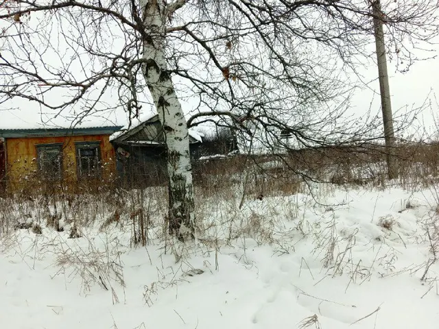 1/2 доля дома и 1/2 доля земельного участка в Пензенской обл.