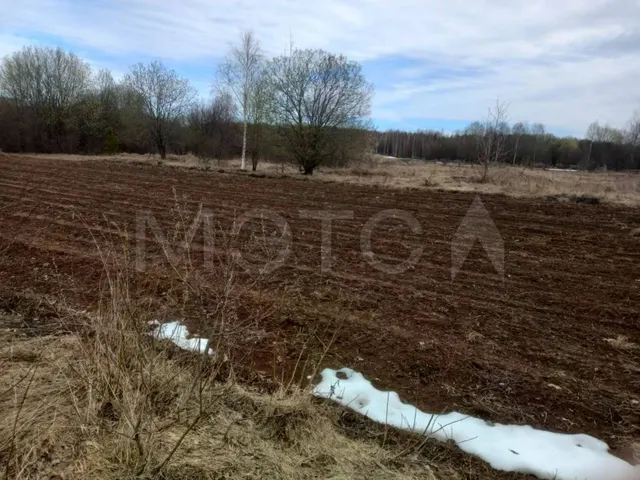Дом 38,9 кв.м. и земельный участок 1500 кв.м. в Костромской обл.