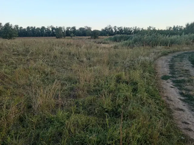 Земельный участок с кадастровым номером 61:06:0020701:85, номер кадастрового квартала: 61:06:0020701, общей площадью 300+-6, находящийся по адресу: Ростовская область, р-н Веселовский, х. Цугейкин, ул. 1-я, 25, категория земель: земли населенных пунктов, виды разрешенного использования: для индивидуального жилого строительства. Имеются запреты на регистрационные действия.