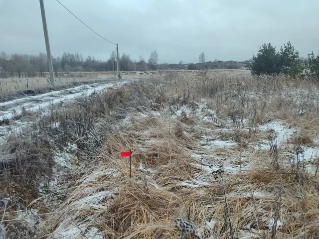 Земельный участок