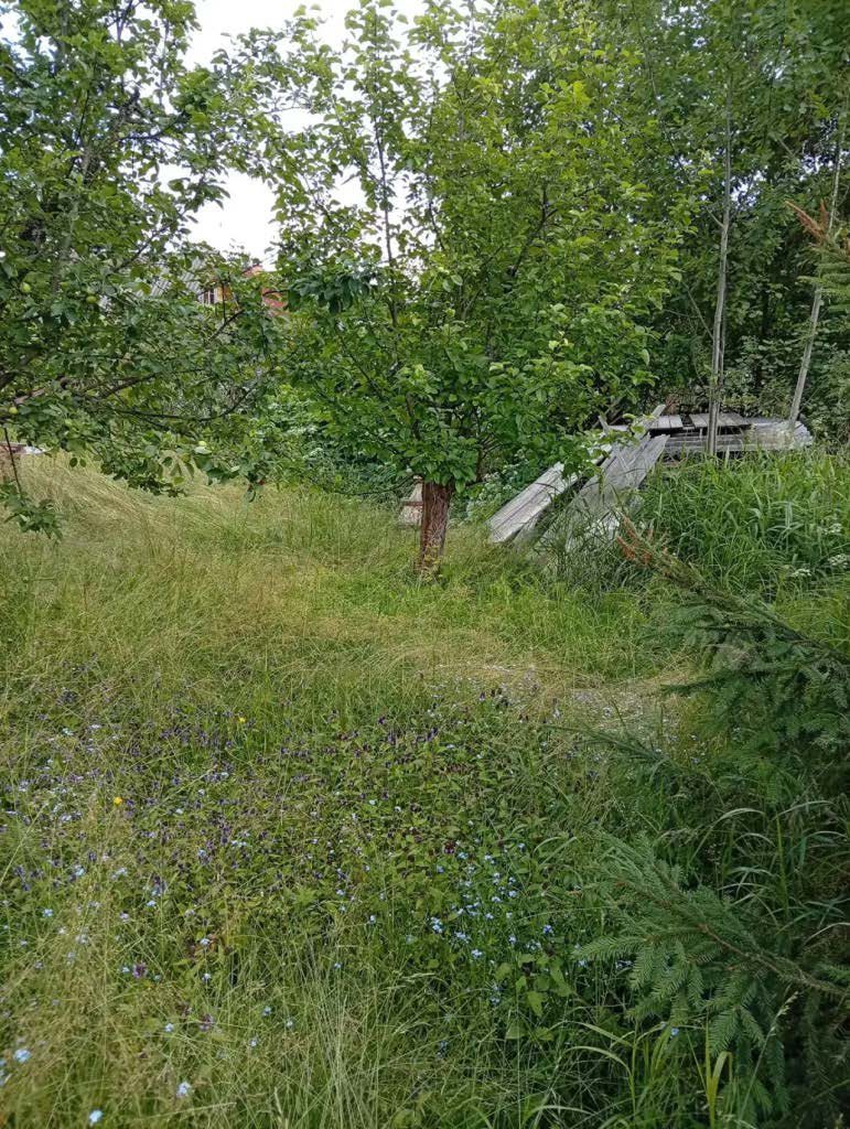 Земельный участок, адрес: Ленинградская область, Волховский муниципальный район, Кисельнинское сельское поселение, массив Пупышево, СНТ "Оргстрой", линия 8, уч. 208, кадастровый номер 47:10:1339006:16.