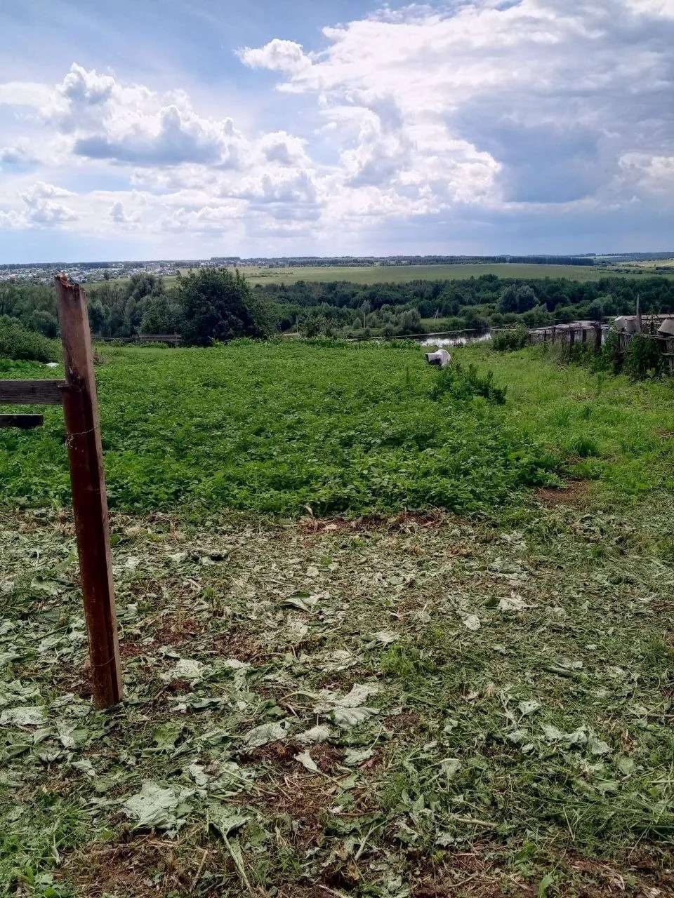 Земельный участок, жилое помещение (здание)