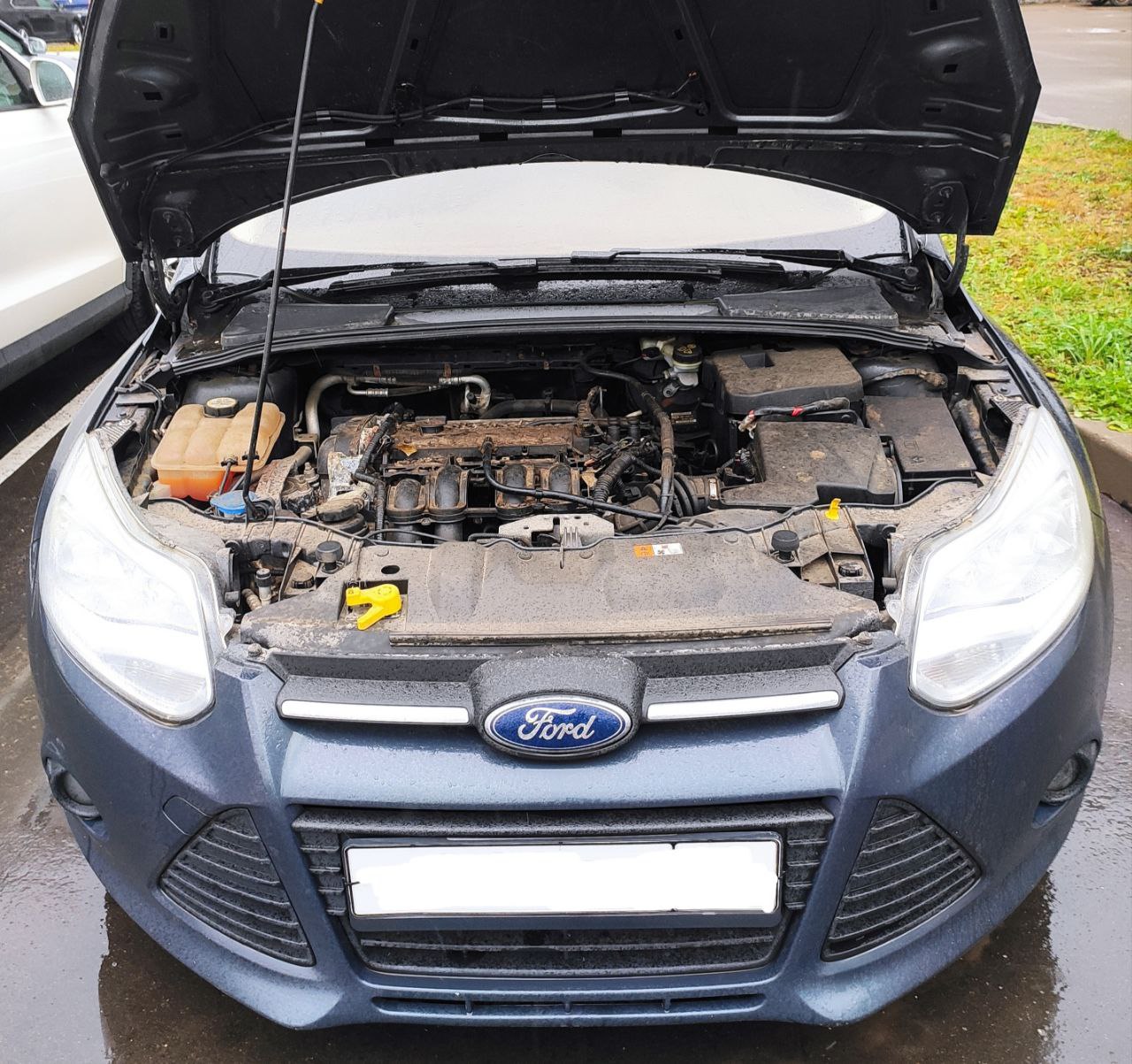 Легковой автомобиль марки: FORD, модель: Focus, год выпуска: 2013г., кузов №: X9FKXXEEBKDJ82096, идентификационный номер (VIN): X9FKXXEEBKDJ82096