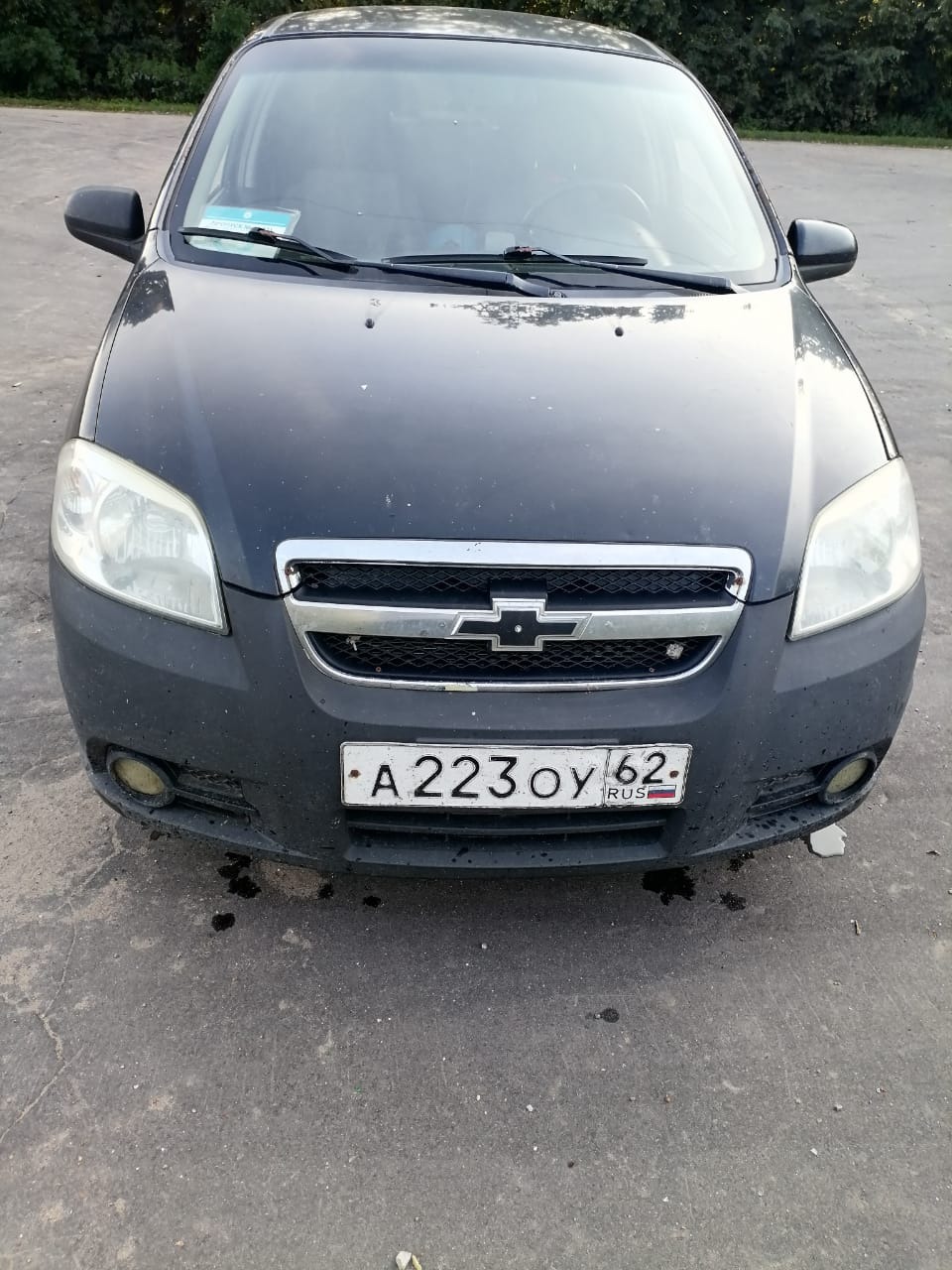 Автомобиль марки CHEVROLET модель Aveo 2011 г.в. VIN-номер XUUSF69W9B0017441. В залоге у ПАО «Совкомбанк».