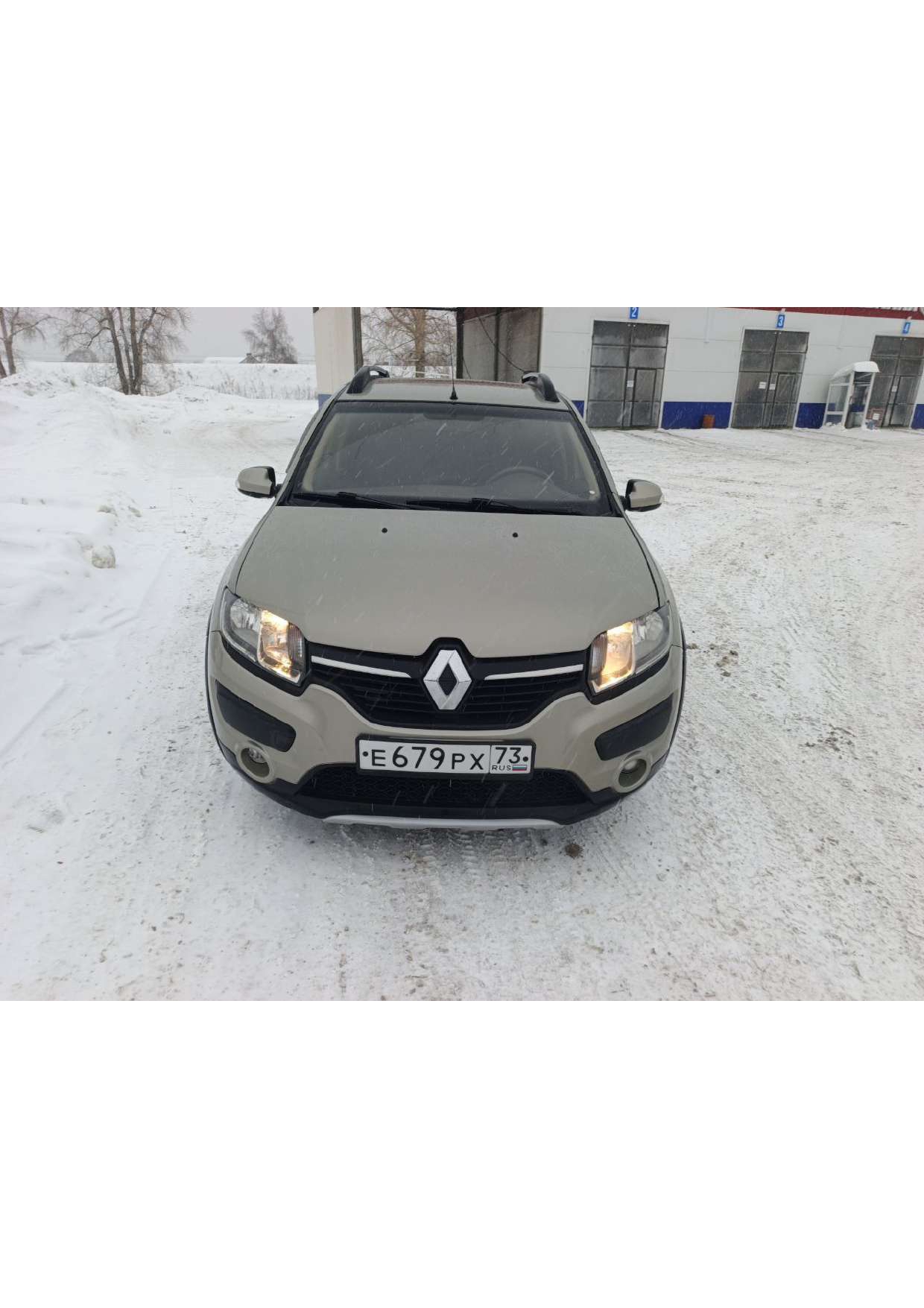 Автомобиль легковой, марка: Renault, модель: Sandero, VIN: X7L5SRAT655565844, гос. рег. номер: Е679РХ73, год изготовления: 2016