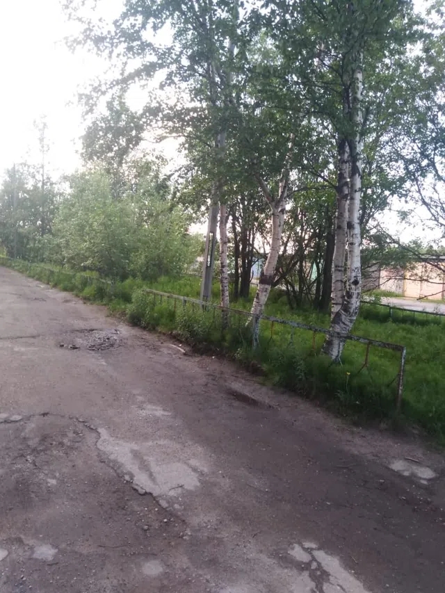 Квартира, общая площадь 51.7 кв.м., расположенная по адресу: 184530, Мурманская обл, г. Оленегорск, ул Парковая, д. 7, кв. 61, кадастровый номер 51:12:0020303:482. В залоге у ПАО «Совкомбанк».