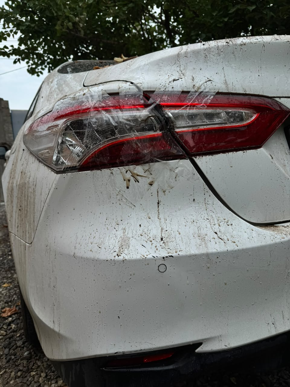 Автомобиль марки TOYOTA модель Camry 2020 г.в. VIN-номер XW7BF4HK60S171580