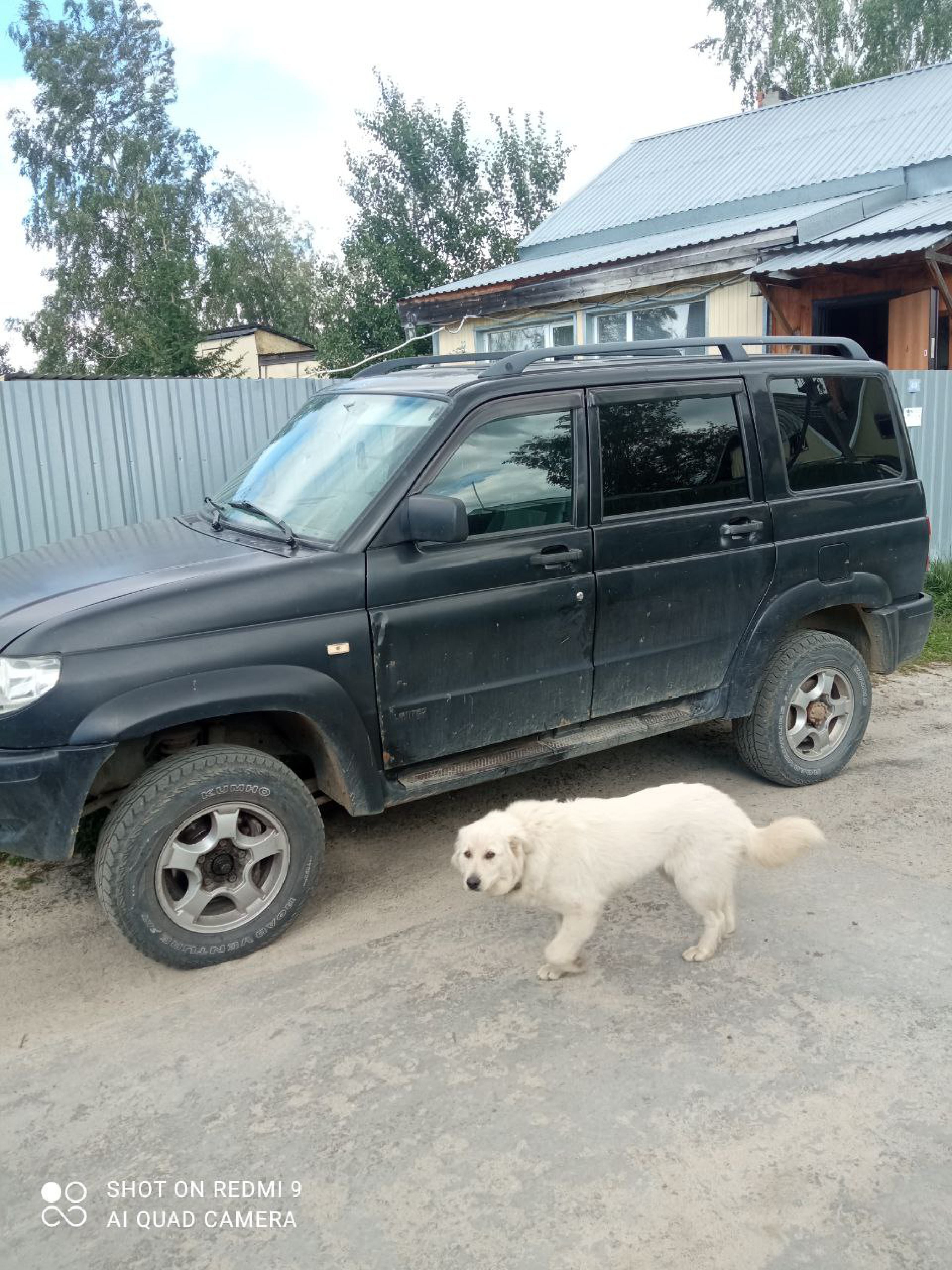УАЗ ПАТРИОТ, XTT31630080002083, Регистрационный знак (серия, номер) ТС Р516СЕ86.